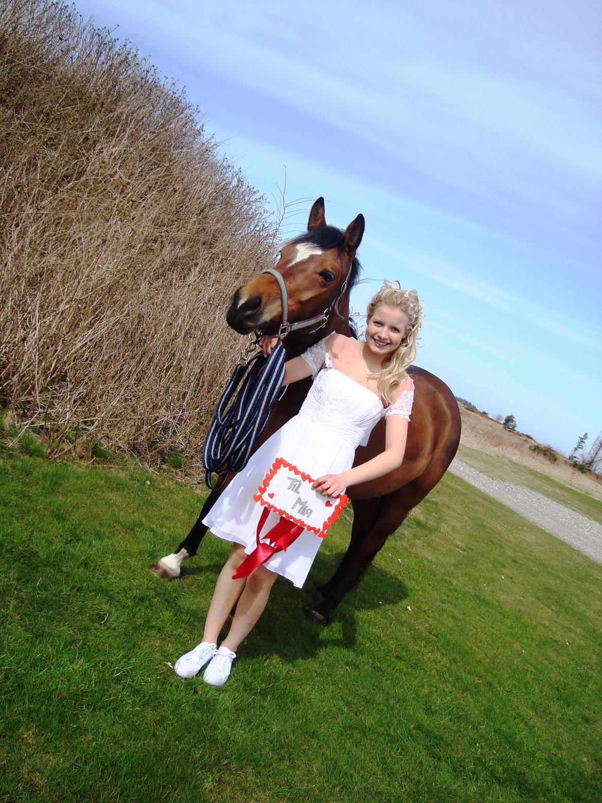 New Forest Birkilds Veronica - Konfirmation 26/4-2013 
 -Verdens bedste pony❤ billede 13