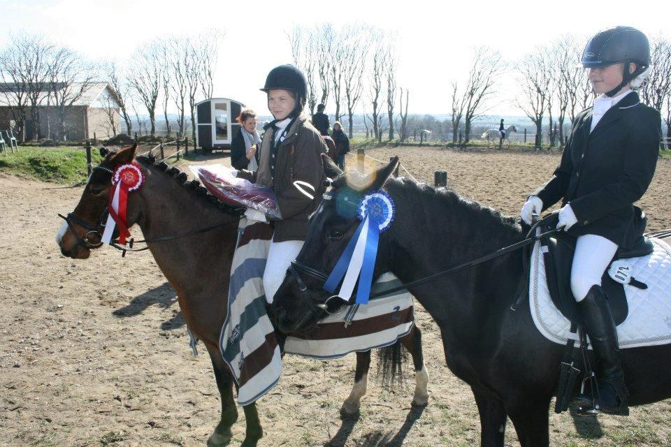 Anden særlig race Miranda *Muffin* - præmieoverrækkelse til LC1! <3 1- plads.. Sabro Rideklub foto: Cristian e billede 22