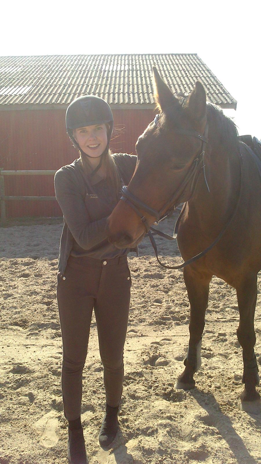 Dansk Varmblod Kastaniegårdens Nivea - Træt lille hest efter en omgang ridning :-) billede 5