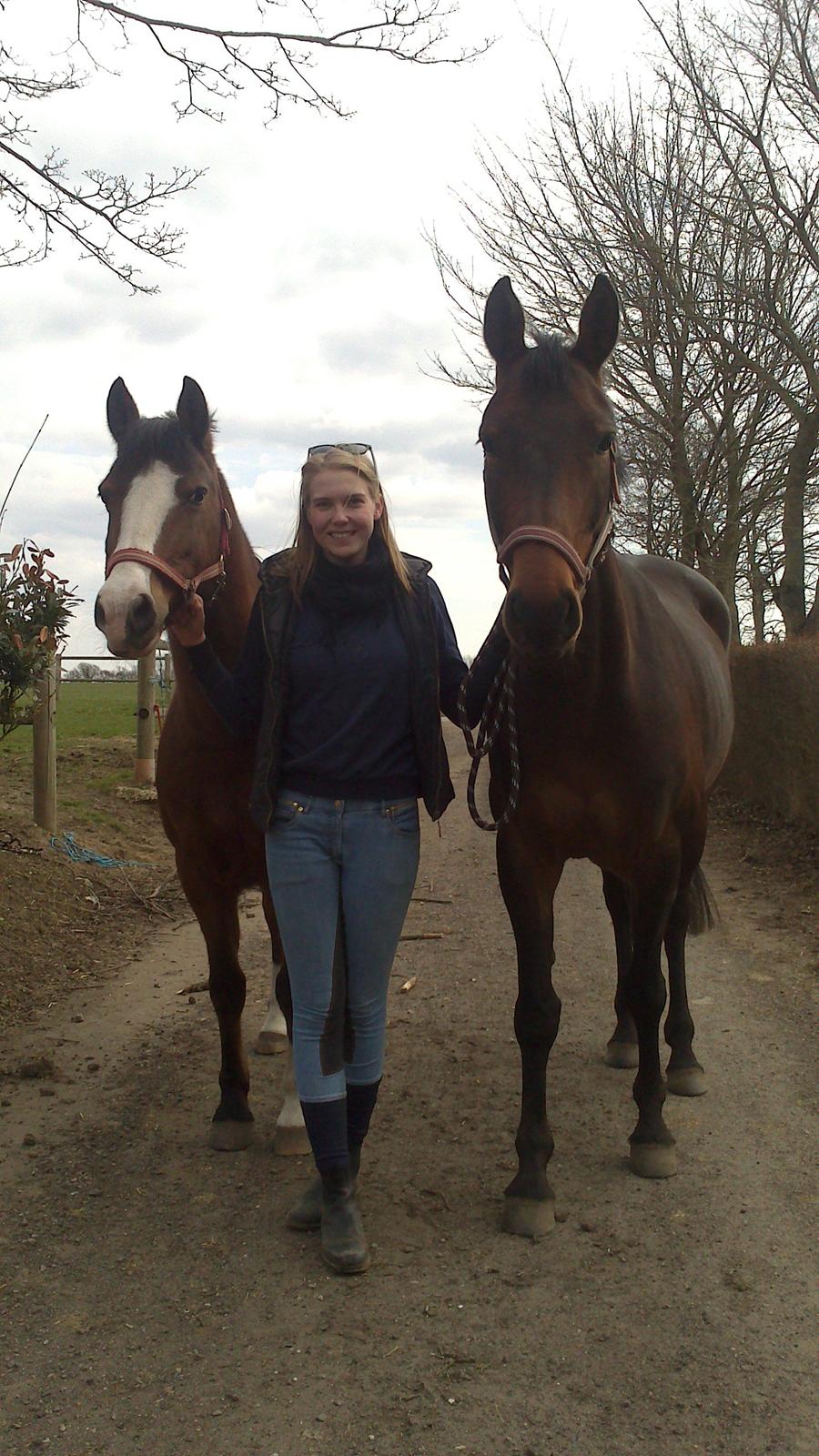 Dansk Varmblod Kastaniegårdens Nivea - Hyggetid med mine to dejlige heste :-) billede 16