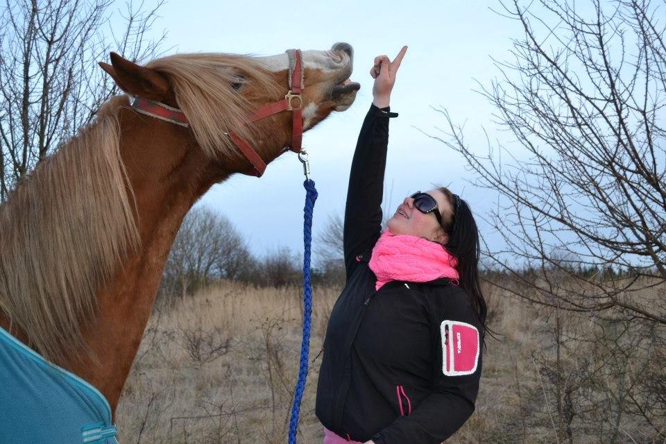 Welsh Cob (sec D) Whitesocks(Sokke) - min bedste ven og min bedste veninde <3

foto: mig billede 8