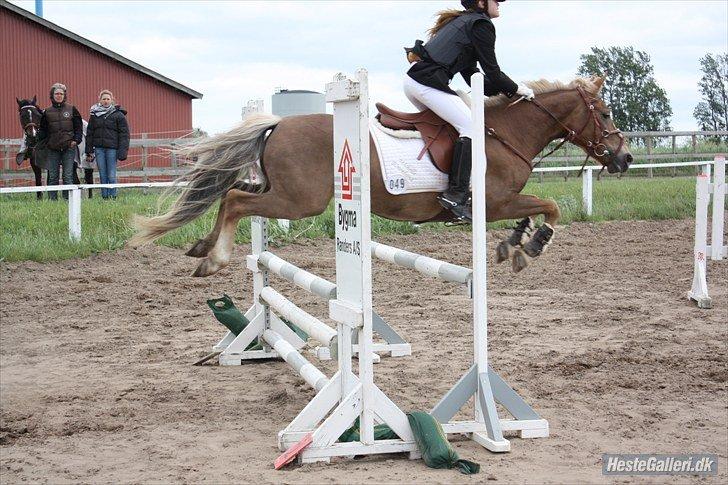 Anden særlig race Deluxe - Farmland cup finale 2012 her i en LB* i Ørsted billede 2