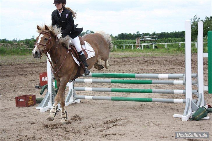 Anden særlig race Deluxe - Farmlandcup finale 2012 her i en LB* Ørsted billede 3