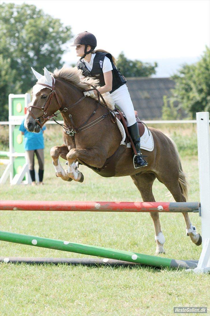 Anden særlig race Deluxe - Mols rideklub 2011 billede 20