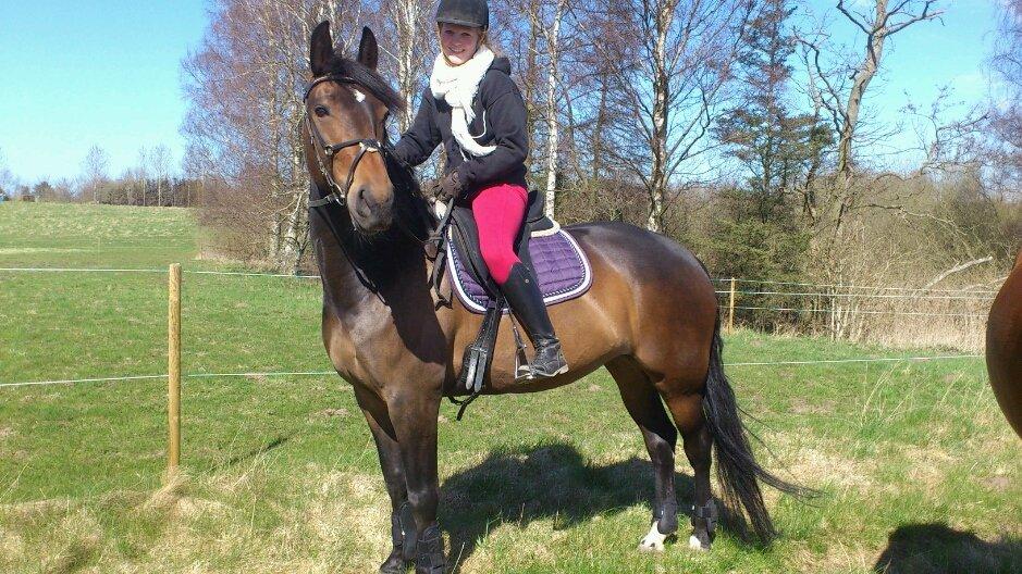 Anden særlig race Flying Maddie billede 19