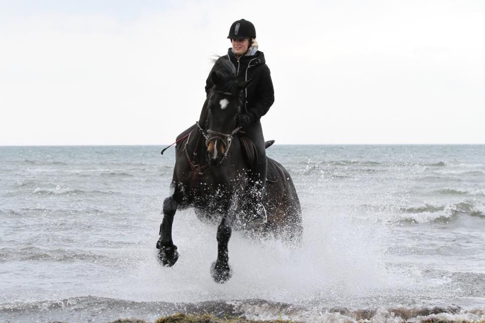 Oldenborg Dulcis Chagall - Tak for kigget!
Foto: Freja(Vi To) billede 22