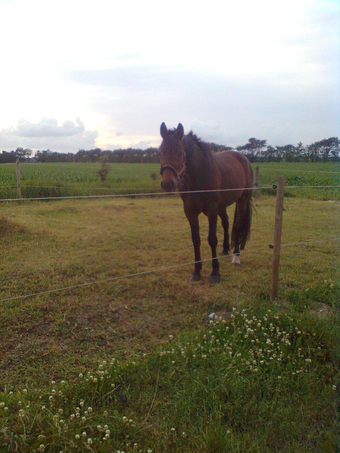 Traver Laban Act - Tak for nu:) Læg gerne en Kommentar ;) billede 4