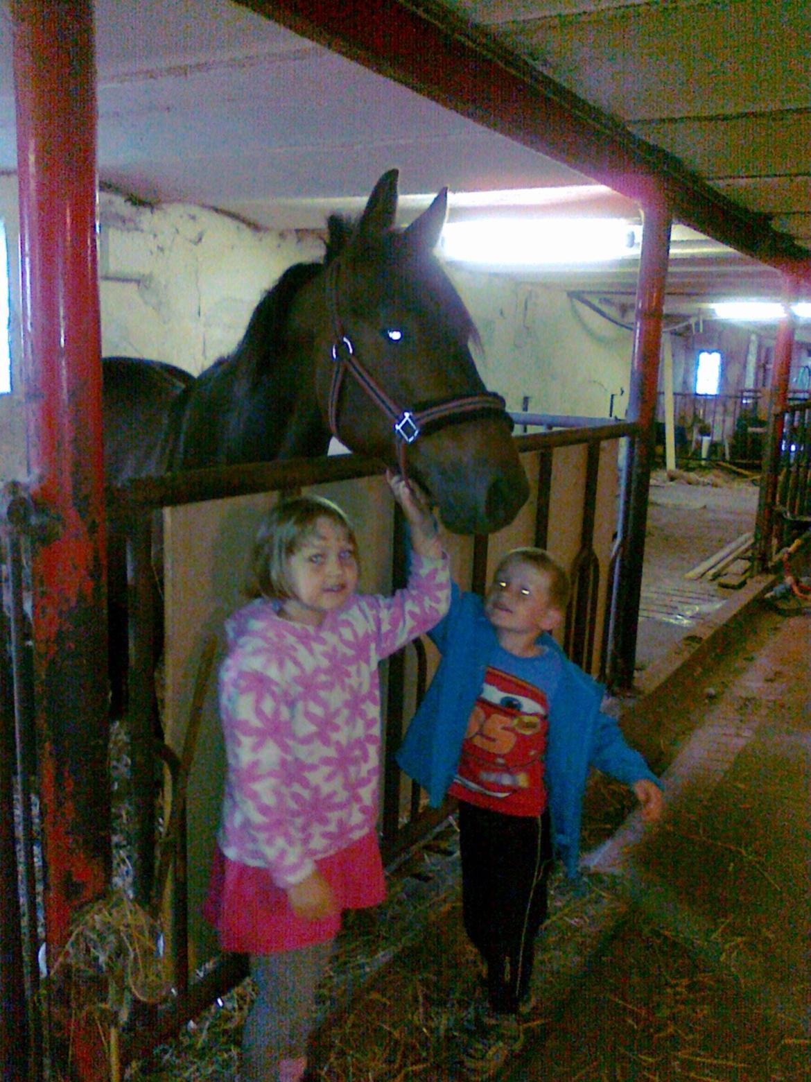 Traver Laban Act - Laban Lige da han var kommet hjem til os;) billede 2