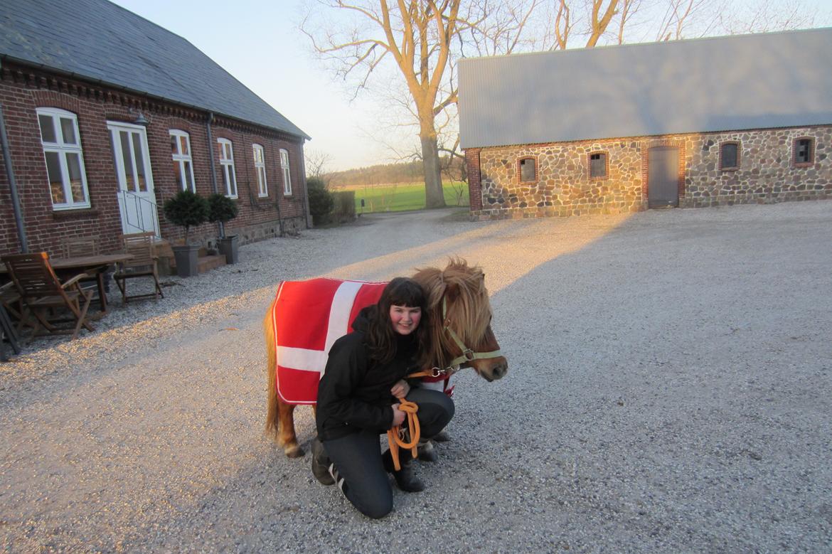 Shetlænder Samson - Samson og jeg!! <3 billede 11