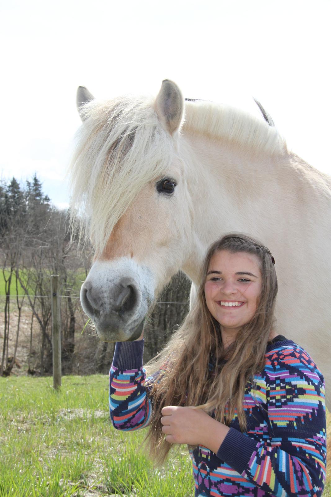 Fjordhest Højgaards Hella billede 1