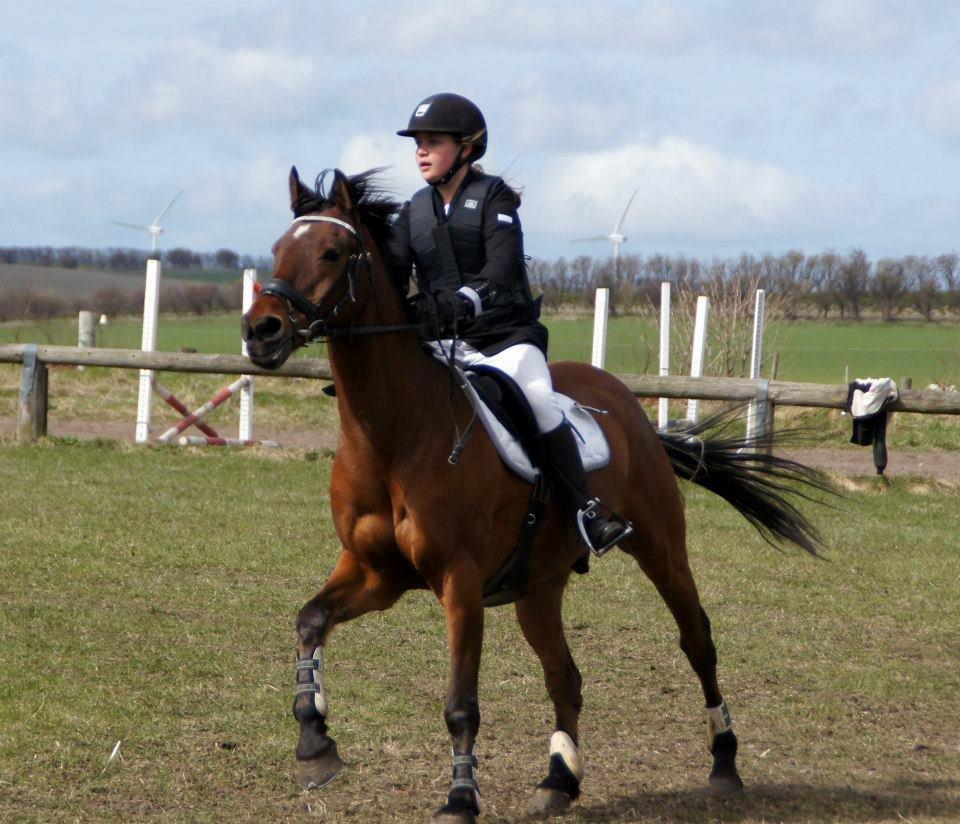 Anden særlig race Balou. - C.stævne i Nordthy<3
Baloü!<3 billede 6