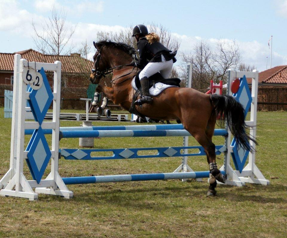 Anden særlig race Balou. - LB** 2.plads.
Den mest fantastiske pony!<3 billede 7