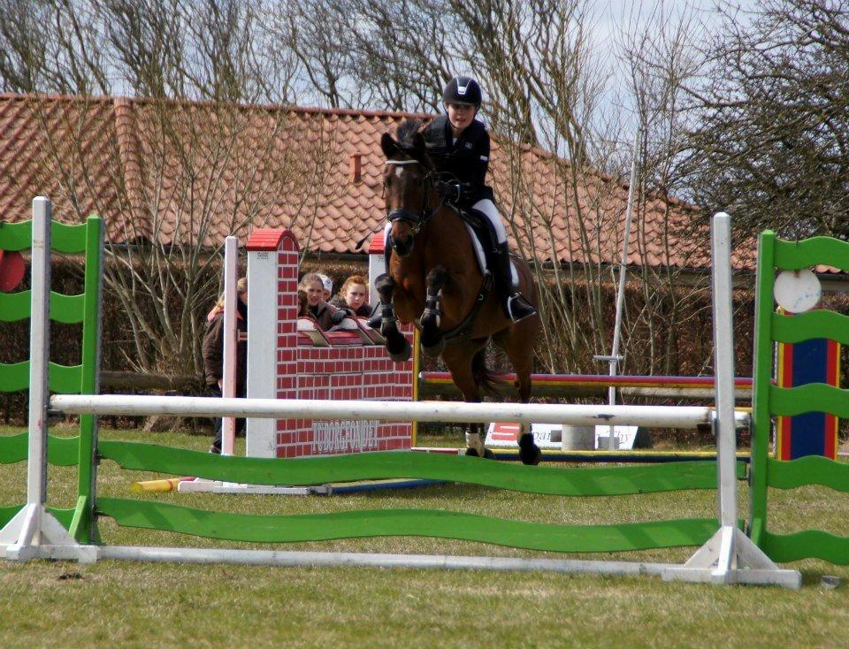 Anden særlig race Balou. - LB* 1.plads. Den aller bedste pony!<3 billede 8