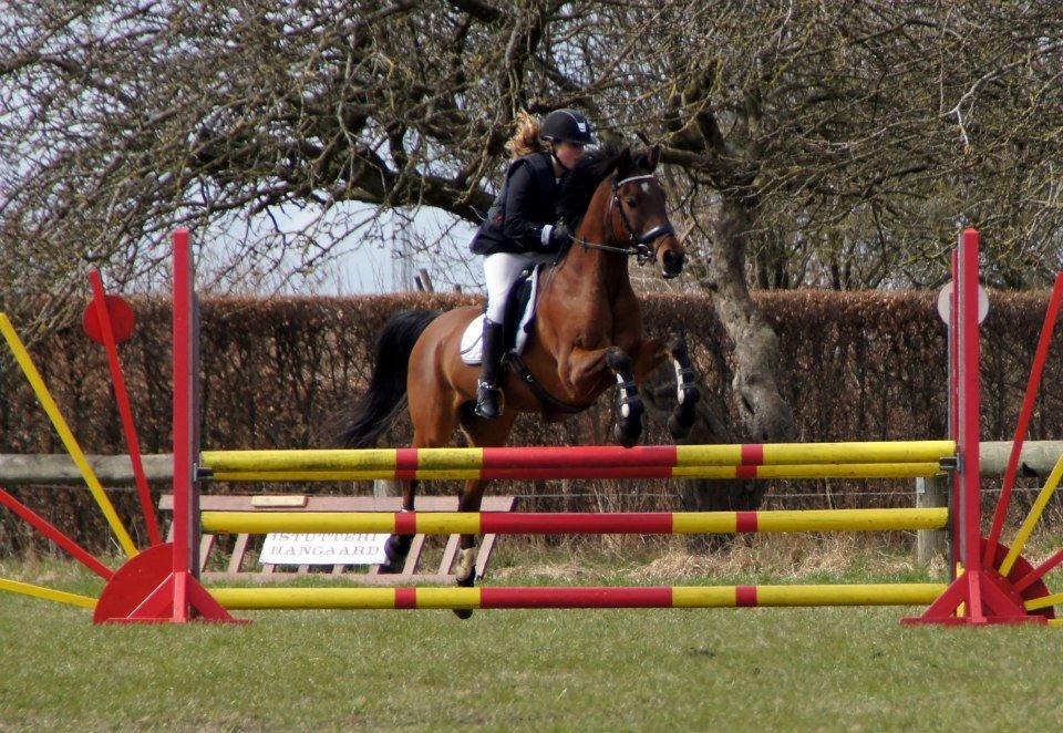 Anden særlig race Balou. - Jeg elsker dig Baloü!<3<3 billede 9