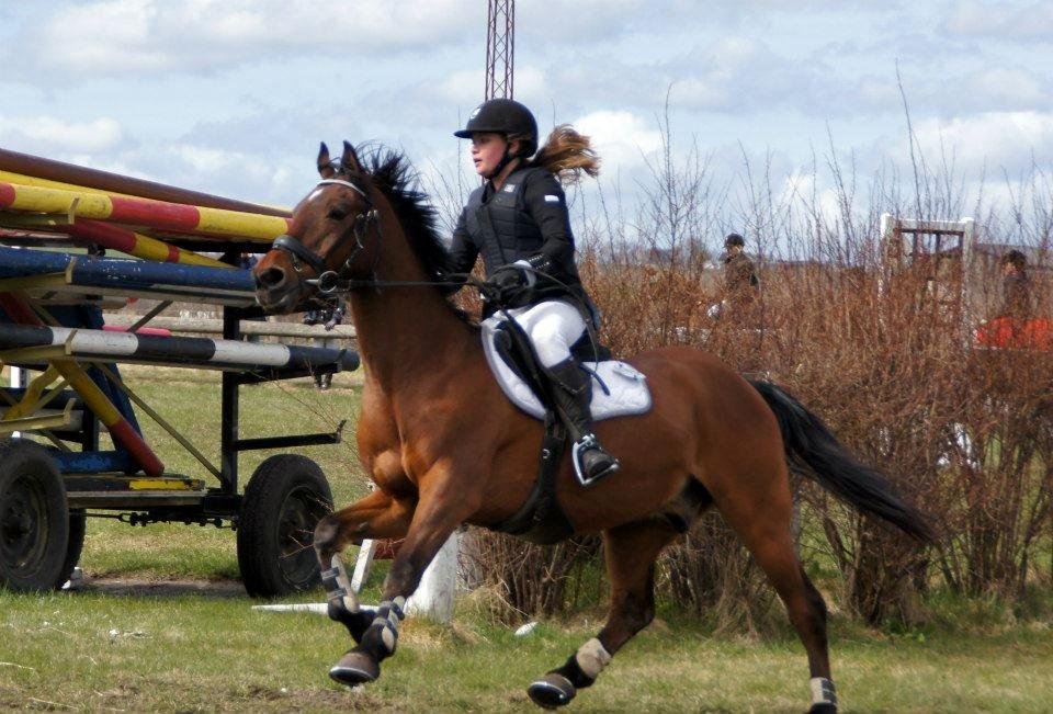 Anden særlig race Balou. - Alle siger at kærlighed gør ondt men det er ikke sandt. ensomhed gør ondt, afvisning gør ondt og at miste gør ondt. Alle forveksler disse ting med kærlighed, men i virkeligheden er kærlighed det eneste i denne verden, der får os til at glemme alt smerten  billede 10