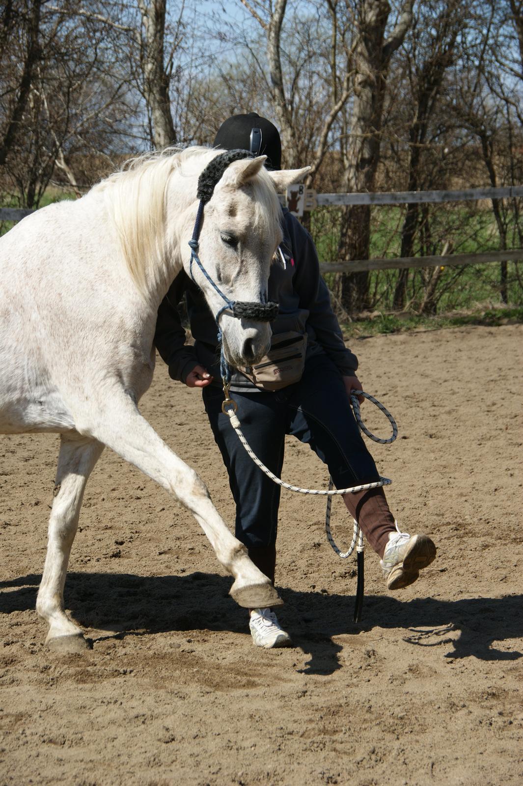 Anden særlig race Milano ("Mulan") billede 5