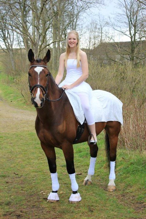 Anden særlig race Nico billede 10