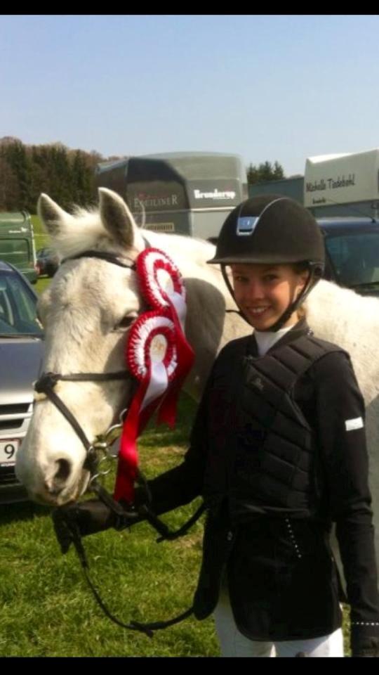 Anden særlig race Chagall (solgt) - 1. plads i LB og 1. plads i LA <3 D. 4/5 - 2013 <3 Stjerne pony <3 billede 10