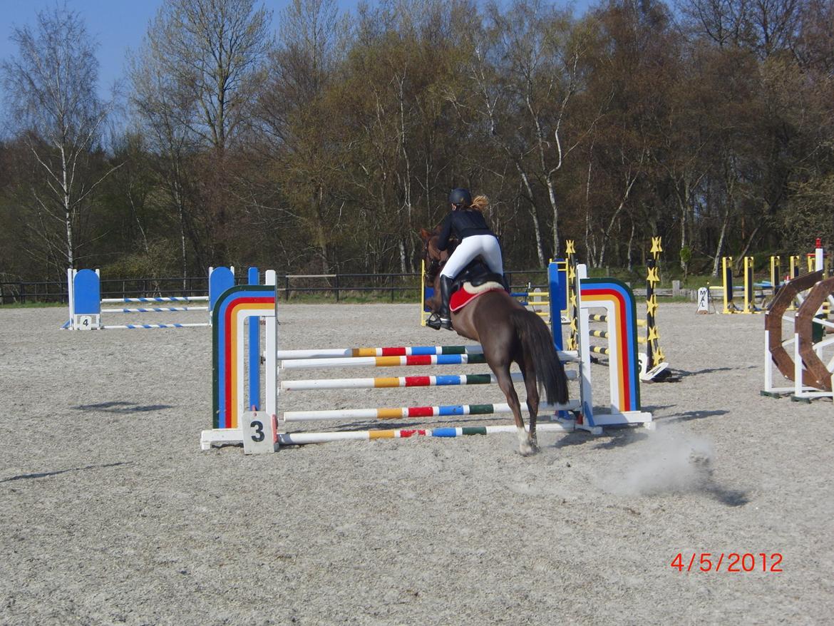 Anden særlig race Bambi - Lb fejlfri, senere red jeg min første la, og vi endte med endnu en nul runde!<3 0 fejl! billede 16