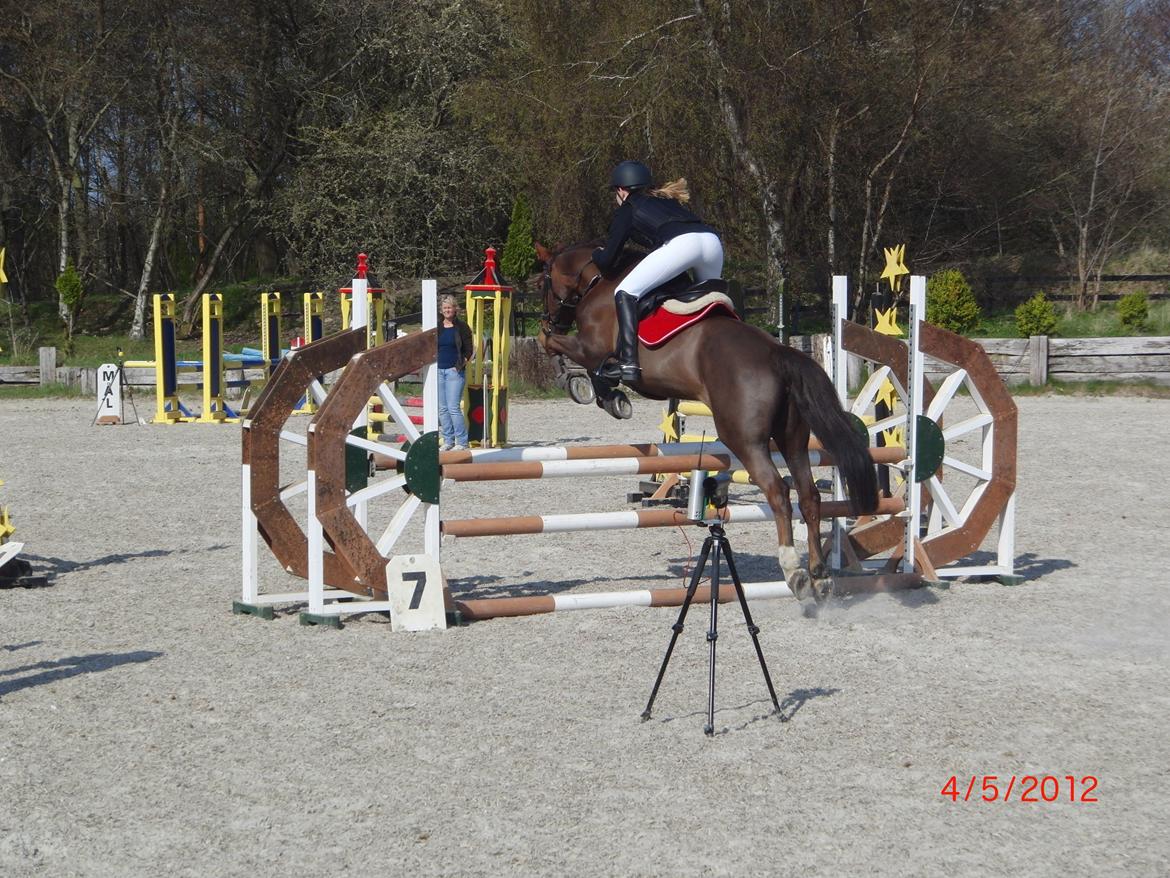 Anden særlig race Bambi - Lb fejlfri, senere red jeg min første la, og vi endte med endnu en nul runde!<3 0 fejl! billede 13