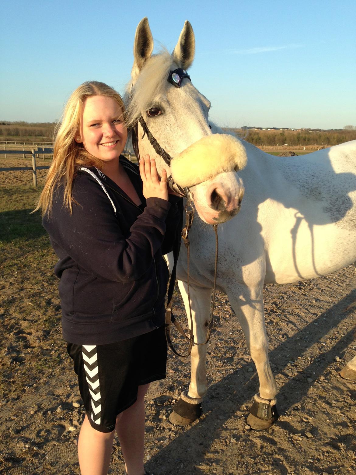 Pinto Savannah - VMSE <3 billede 10