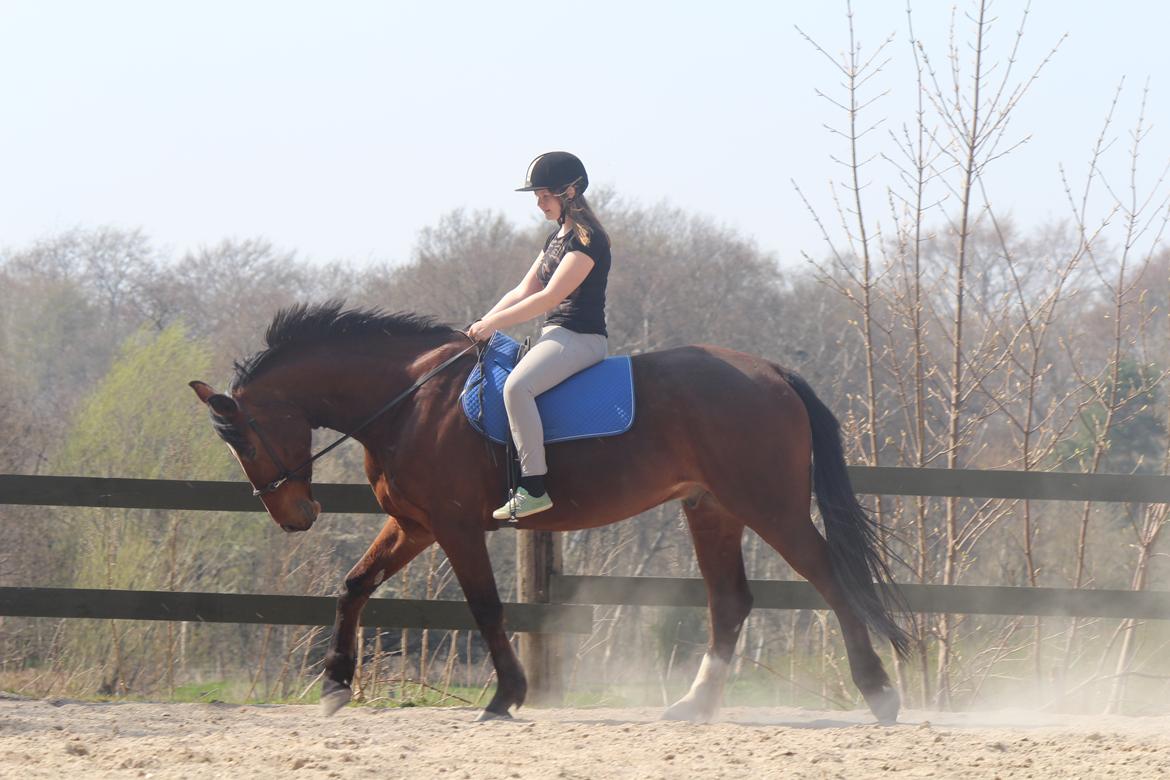 Pinto Pegasus | Soulmate | - 15) Good things take time, great things happens all at once. billede 15