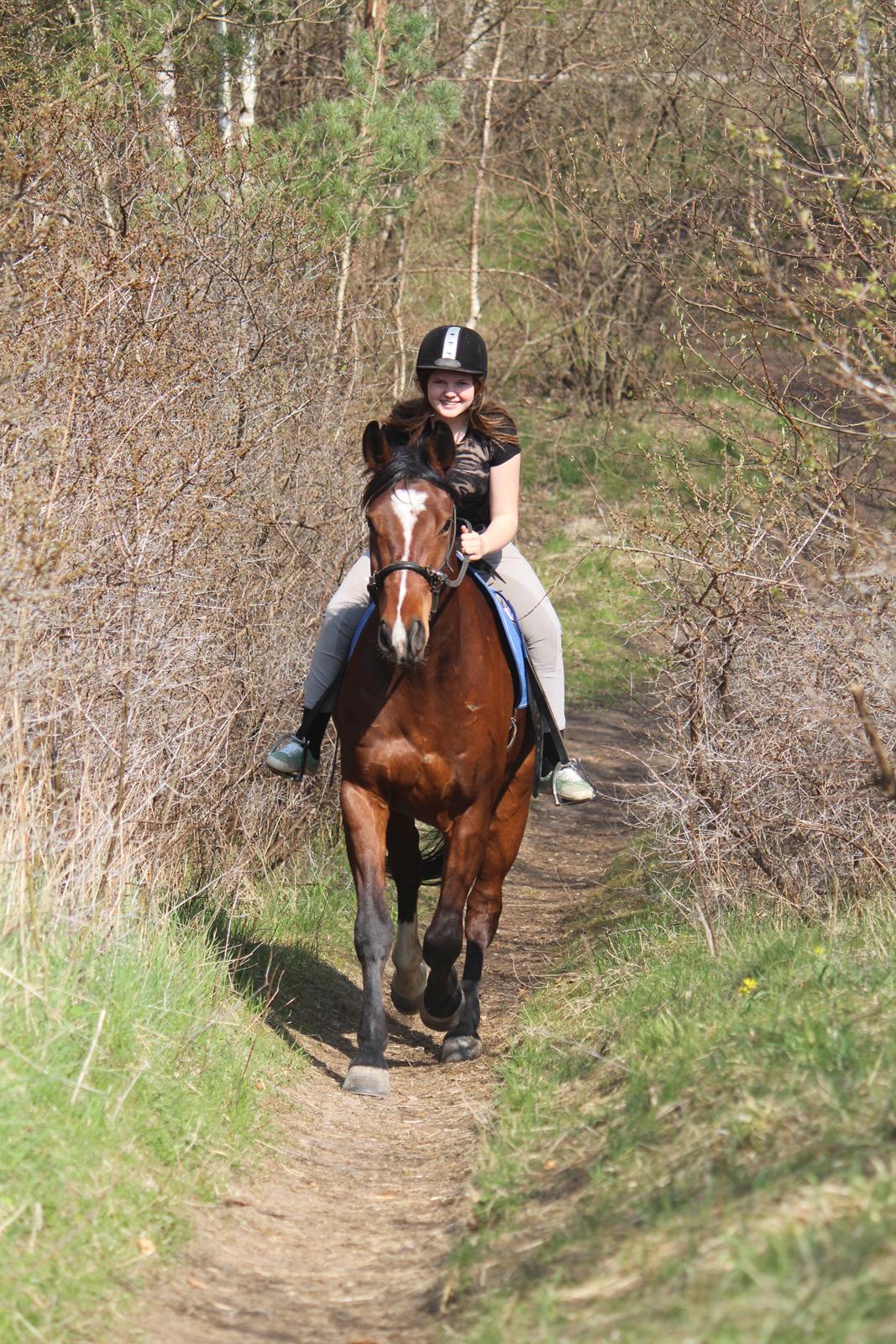 Pinto Pegasus | Soulmate | - 11) You are my fairytale<3  billede 11