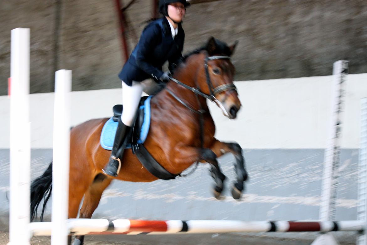 Anden særlig race Minnie - Stævne på Minnie-musen! <3 Dejlige pony! :) billede 9