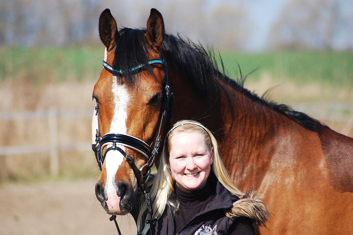 Dansk Varmblod Amour´s Don Cacier billede 27