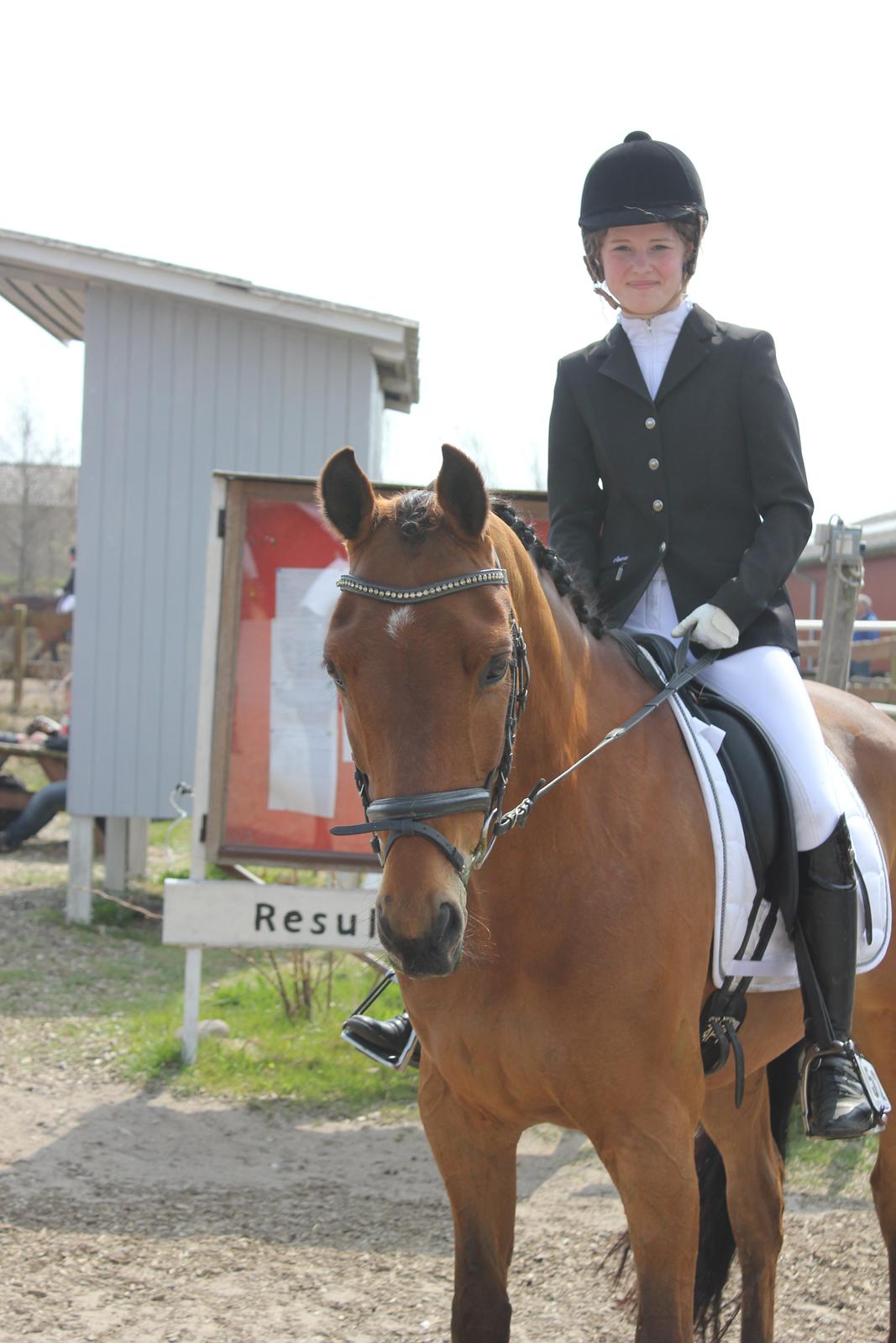 Dansk Varmblod Satchmo - Stævne Hylke - 4. plads billede 12
