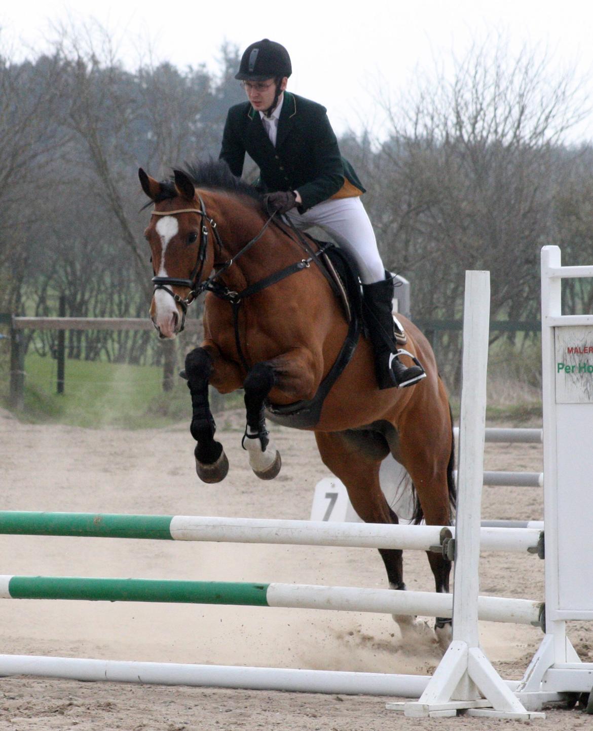 Hollandsk Varmblod Octopussy aka Pusle - farsø 4 maj 2013 billede 12