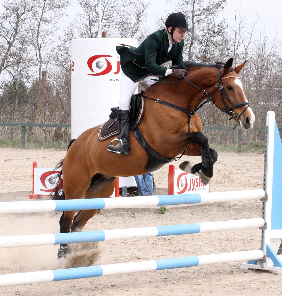 Hollandsk Varmblod Octopussy aka Pusle - farsø 4 maj 2013 billede 15