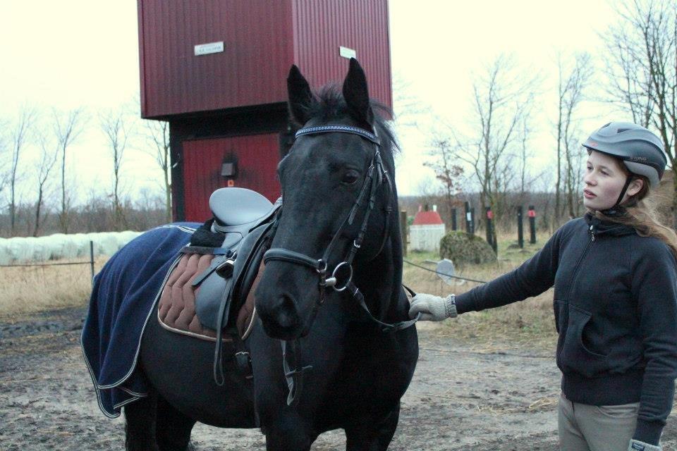 Oldenborg Yasmin - Yasmin og Ida efter træning (Foto: Mette Nygaard) billede 15