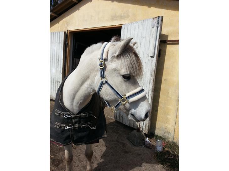 {{currentPhoto.altText}} billede {{currentPhoto.number}}