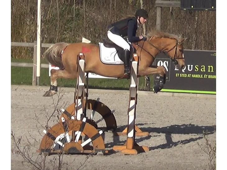 {{currentPhoto.altText}} billede {{currentPhoto.number}}