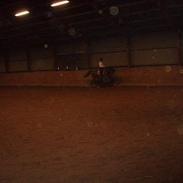 Anden særlig race horisont 