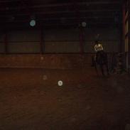 Anden særlig race horisont 