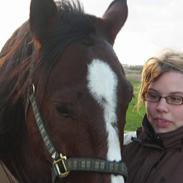 Anden særlig race Herkules Proud Solgt :'(