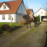 Frieser Wietske van Ravensbos