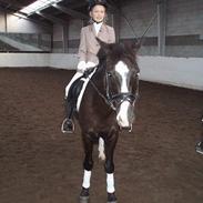 Anden særlig race Max Pensioneret <'3