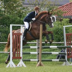 Oldenborg Mosegården Dukat solgt