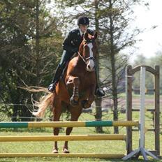 Oldenborg Mosegården Dukat solgt