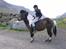 Færøsk hest Blanka [Haft i pleje] - Smukke Blanka og Ella Súsanna :D Hun var helt tændt den her dag hehe ;o) | 26-05-2008