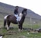 Færøsk hest Blanka [Haft i pleje]