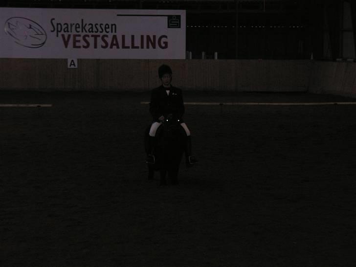 Shetlænder Sofus *Solgt*  - Til stævne 2005 med mig på ryggen, hihi ;D se video :b billede 9