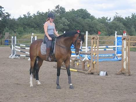 Dansk Varmblod Casper *byttet væk* - lige en lille parade sommer 06 billede 19