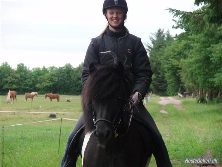 Islænder Klár fra Krossi - hyggeridning. elsker min prinsesse <3( i må kun kopirere billederne hvis i få lov af mig ) billede 5