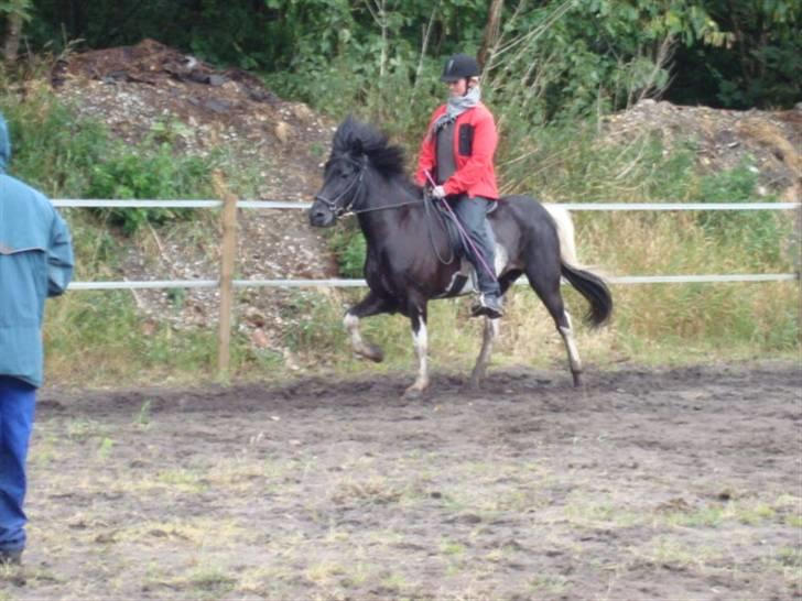 Islænder Klár fra Krossi - Rasmus Mæller kursus d. 14 og 15 -6 -08, vi er for gode <3 ( i må kun kopirere billederne hvis i få lov af mig ) billede 8