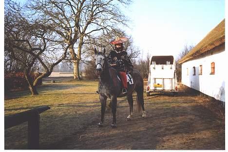 Anden særlig race Bailey *RIP* - Fastelavnsridning 2004 - jeg er mexikaner. billede 4