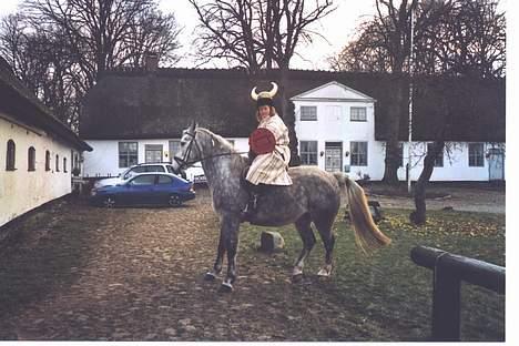 Anden særlig race Bailey *RIP* - Fastelavnsridning 2005 - jeg er viking. billede 5